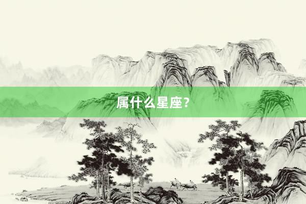 属什么星座？