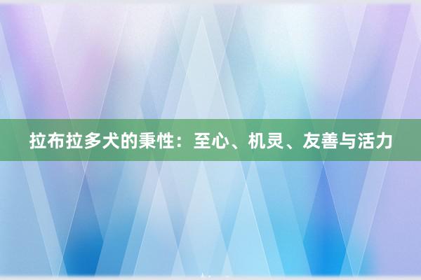 拉布拉多犬的秉性:至心、机灵、友善与活力