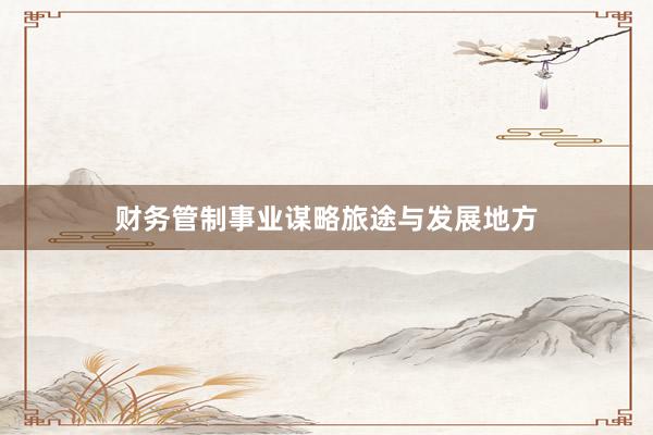 财务管制事业谋略旅途与发展地方